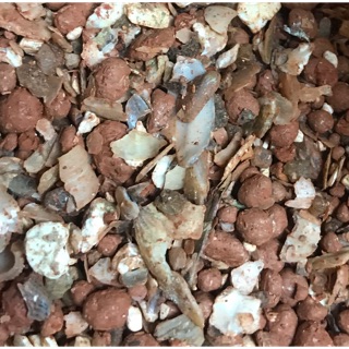 Khoáng đất đỏ dành cho chim sinh sản