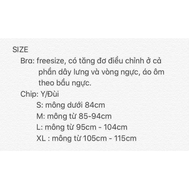 Bộ đồ lót nữ , nội y nữ ren sexy thiết kế quần chữ y hoạ tiết da beo GIN Lingerie