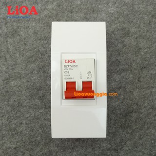Combo cầu dao tự động chống quá tải và ngắn mạch LiOA 32A loại 2 cực - Lắp nổi