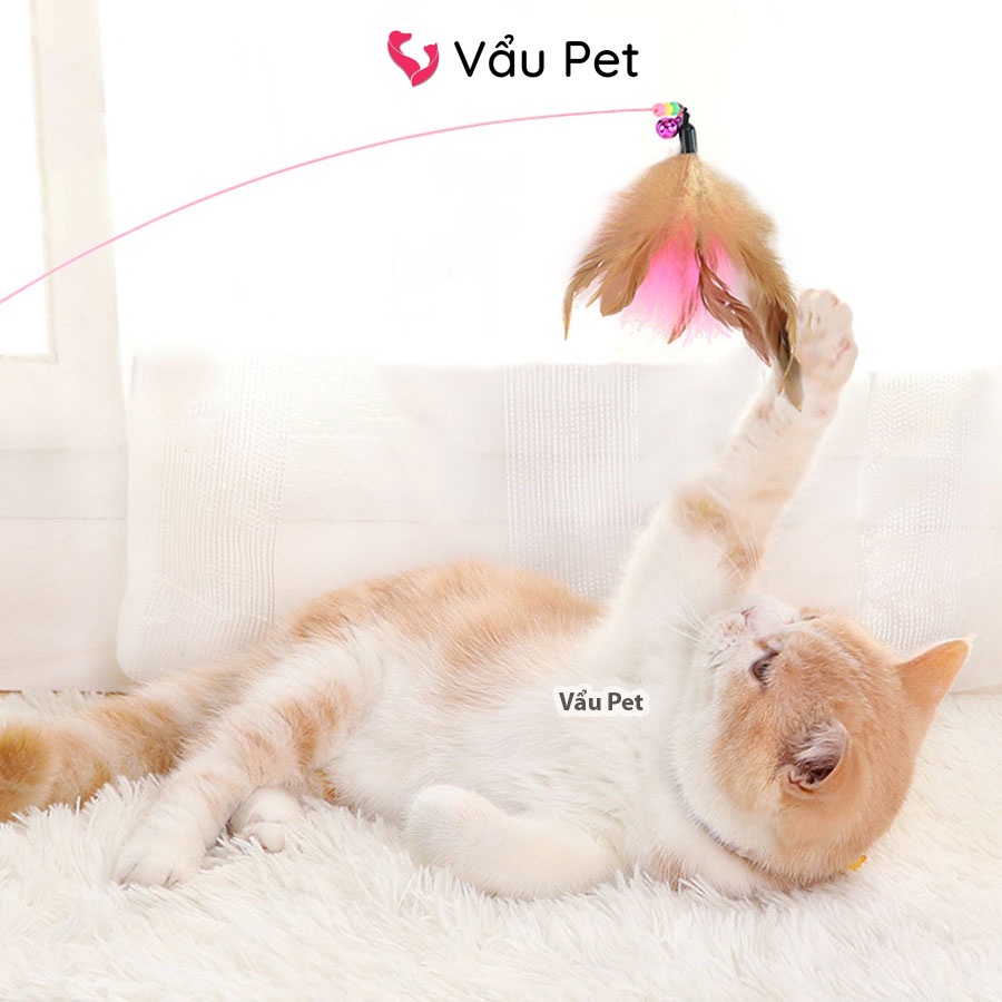 Cần Câu Mèo Dây Thép Đồ chơi cho mèo Vẩu Pet Shop