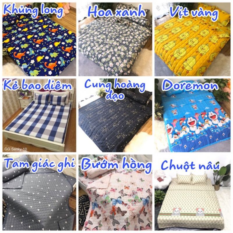 Bộ ga chun kèm vỏ gối cotton poly rẻ bền đẹp( được chọn mẫu) | BigBuy360 - bigbuy360.vn