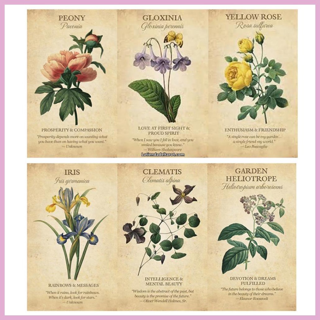 Bộ Thẻ Bài Tarot Truyền Cảm Hứng Giáo Dục Cho Trẻ Em