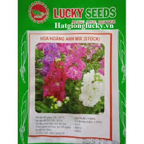 Hạt Giống Hoa Hoàng Anh Mix Nhiều Màu LUCKY SEED. Mỗi Túi 40-50 Hạt.