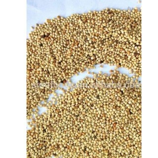 500g hạt kê tắm bé, thức ăn cho chim