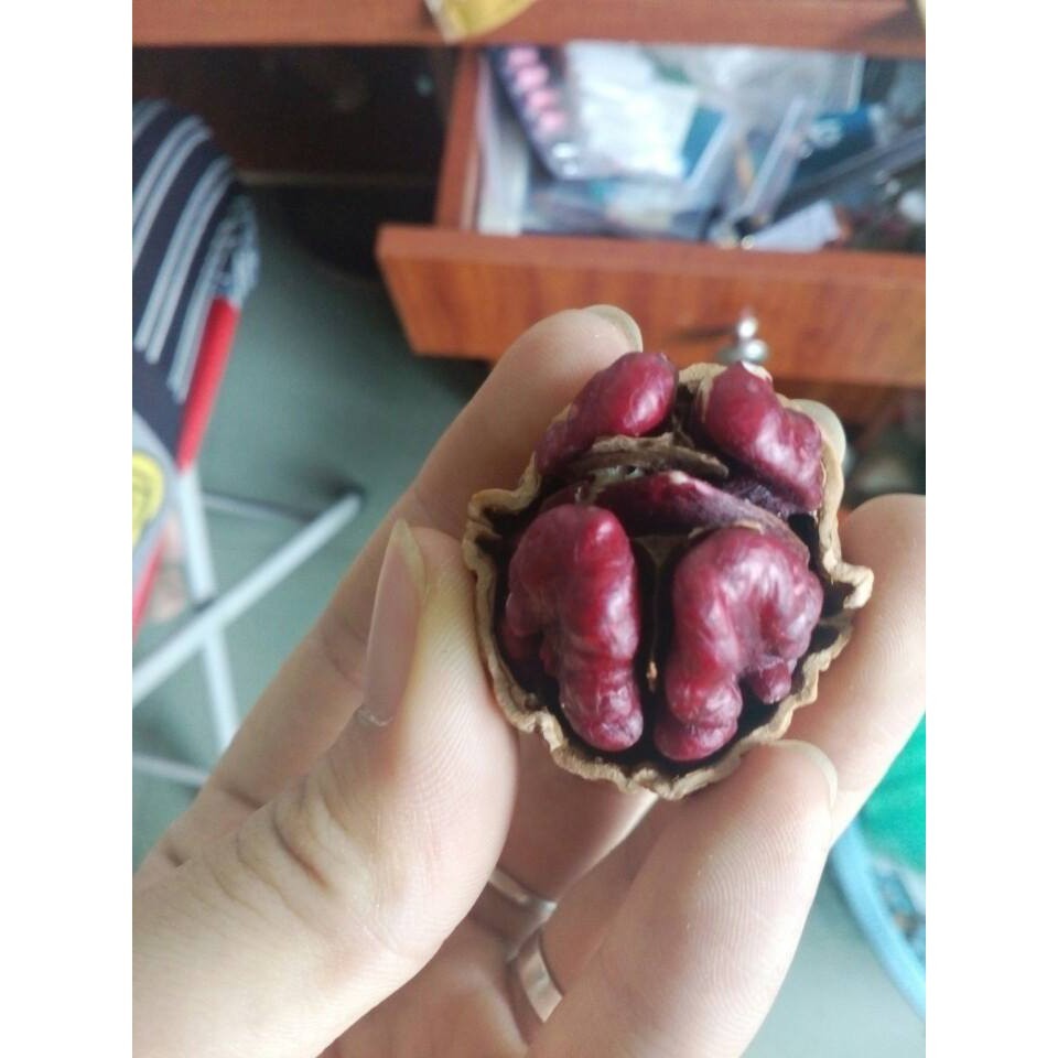 500g nhân óc chó đỏ Bắc Mỹ  - date luôn mới