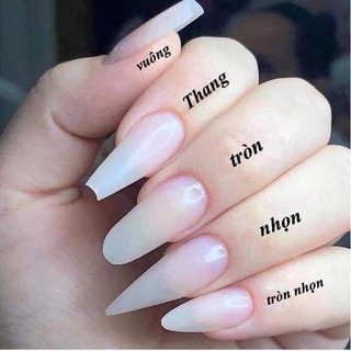 Móng úp nhọn HSM