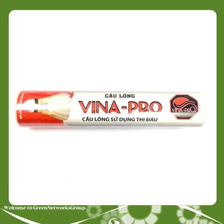 CẦU LÔNG VINA PRO