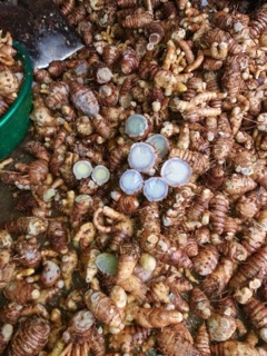 Tinh Bột Nghệ Đen