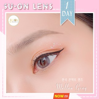 Lens 1 ngày Ann365 MELLOW GRAY áp tròng 14,2mm