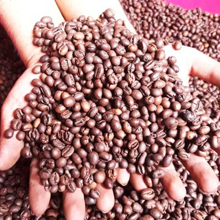 Cà phê Robusta CULI rang nguyên hạt-VNĐ/kg