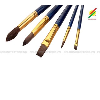 Cọ vẽ màu nước Colormate bộ 5 cây  - COLORMATE