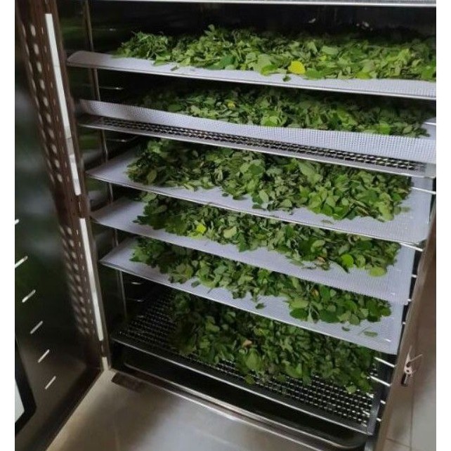 Bột chùm ngây đồ ăn dặm cho bé, bồi bổ cơ thể