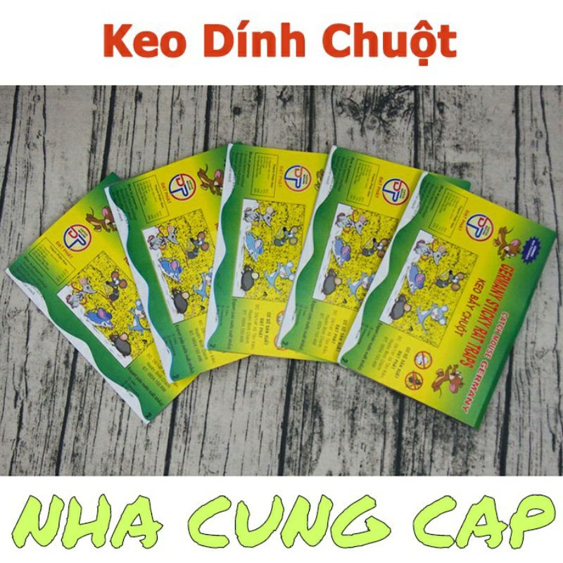 (GIÁ HỦY DIỆT) 10 MIẾNG KEO DÍNH CHUỘT DÍNH RUỒI