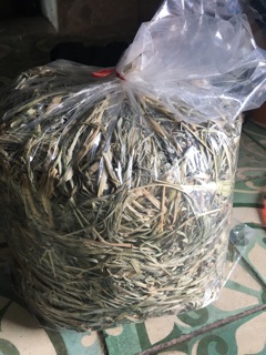 500 g Bồ công anh tươi