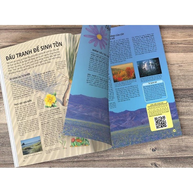 SÁCH - Science Encyclopedia - Bách Khoa Thư Về Khoa Học