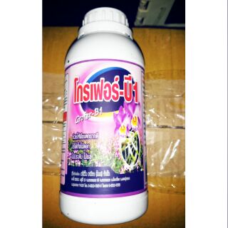 Thuốc kíc rễ kíc mầm phong lan B1 Thái lan loại 500ml