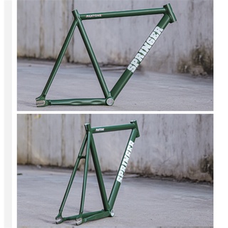 Khung xe đạp Fixed Gear Springer Pantone