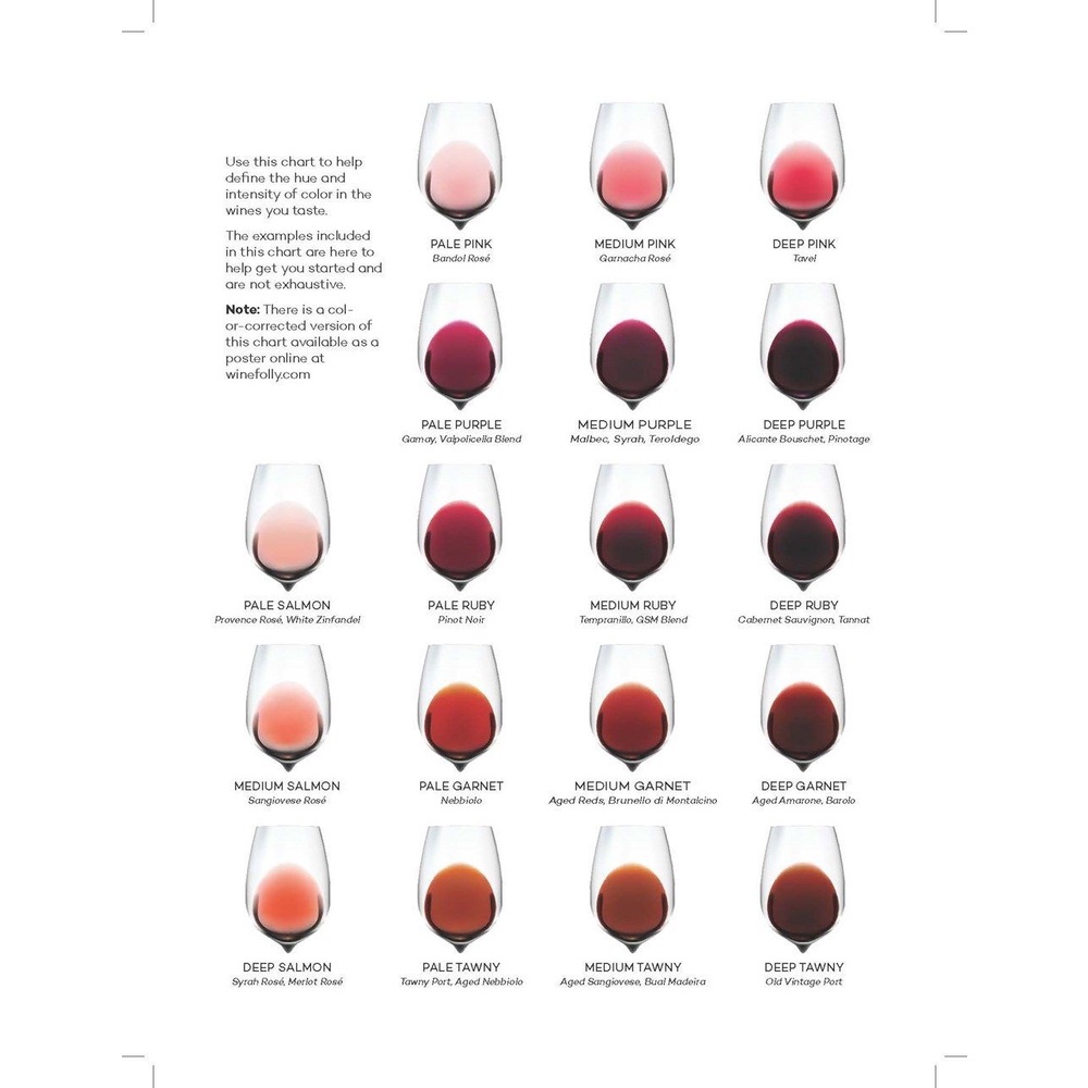 Sách - Wine Folly: Magnum Edition : The Master Guide by Madeline Puckette (US edition, hardcover)