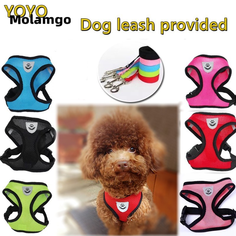 Dây Dắt Thú Cưng Đi Dạo Kèm Dây Xích Tiện Dụng