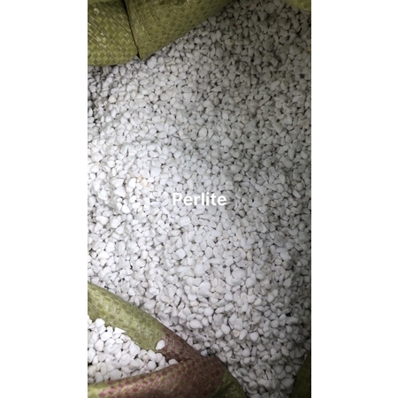 Đá Pumi và Berlite