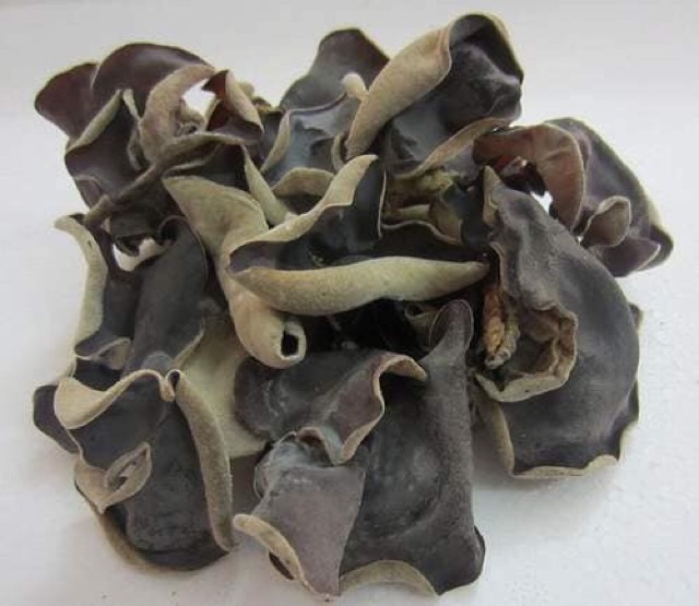 Mộc nhĩ rừng Sa Pa loại ngon 200g | BigBuy360 - bigbuy360.vn