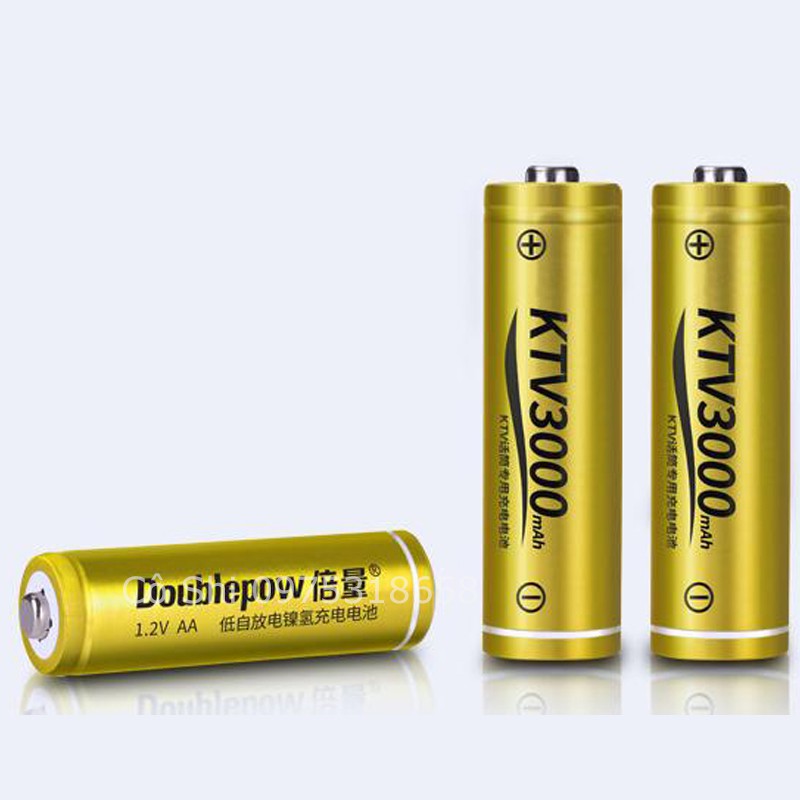 Bán Sỉ Pin AA 3000mah Hãng DOUBLEPOW Chất Lượng Cao Thích hợp cho KTV (micro karaoke)