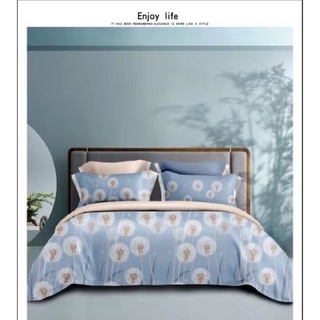 (Siêu rẻ) Tencel Trọn bộ 5 món 1.6m, 1.8m