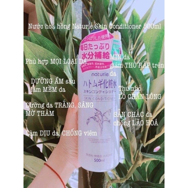 Nước hoa hồng ý dĩ