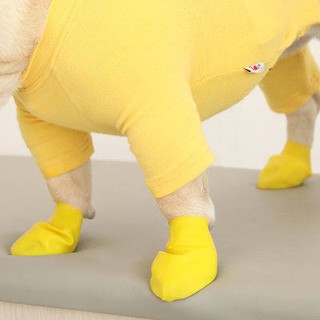 Giày chó Bong bóng Giày mưa Teddy Faction Small and Medium-SOG không thể rơi giày không thấm nước đặt đôi dép thú cưng m