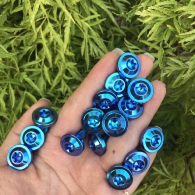 🔥Rẻ nhất shopee🔥(GR5 xịn) Ốc 6li15 dù dày titanium gr5 gắn ốp pô đít bô dè sau chỉ 28k/con 6li