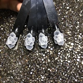 Combo 40 hoa bột nail