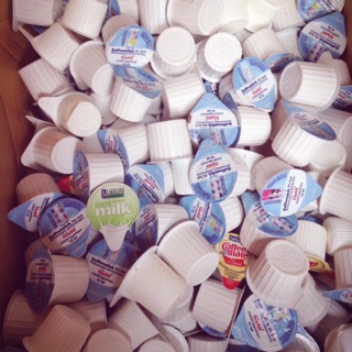 ✅ SỮA TƯƠI MINI KHÔNG ĐƯỜNG (hũ 15 ml)