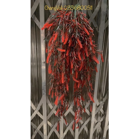 Cụm rủ treo tường-bụi rủ ớt trang trí,decor phong cách vintage