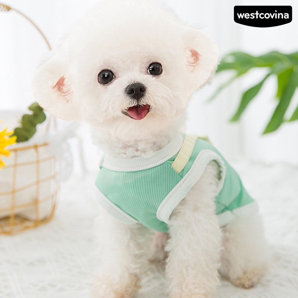 [Mới]♞Áo Sơ Mi Hình Khủng Long Thu Hút Dành Cho Cún Cưng