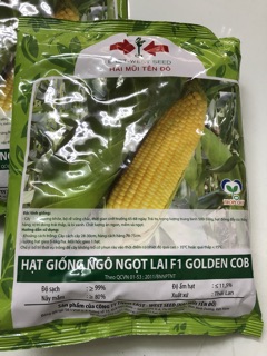 Hạt giống bắp Mỹ (bắp ngọt) - 500gr