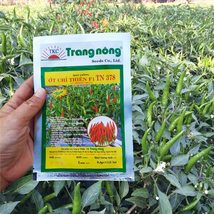 Hạt Giống Ớt Chỉ Thiên F1 Trang Nông 378