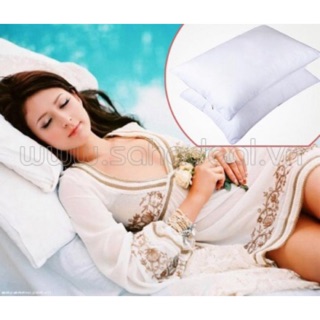 Ruột gối hơi cao cắp (cặp)