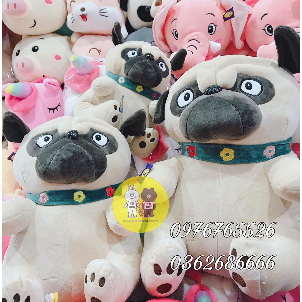 Chó Bông Pug Mặt Xệ Đeo Vòng Cổ Kích Thước 25-30-40-50cm Bunoo shop