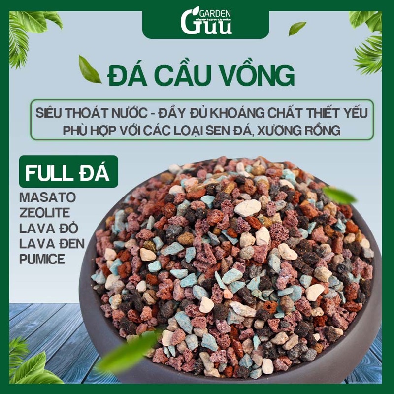 Đá Cầu Vồng - Siêu Phẩm Giữ Màu Cho Sen Đá Guu Garden