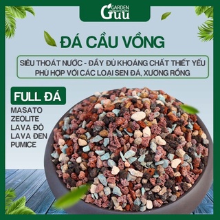 Đá Cầu Vồng - Siêu Phẩm Giữ Màu Cho Sen Đá Guu Garden