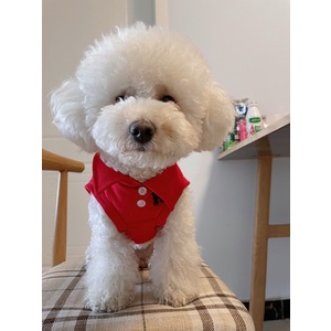 Áo polo không tay trơn dành cho thú cưng