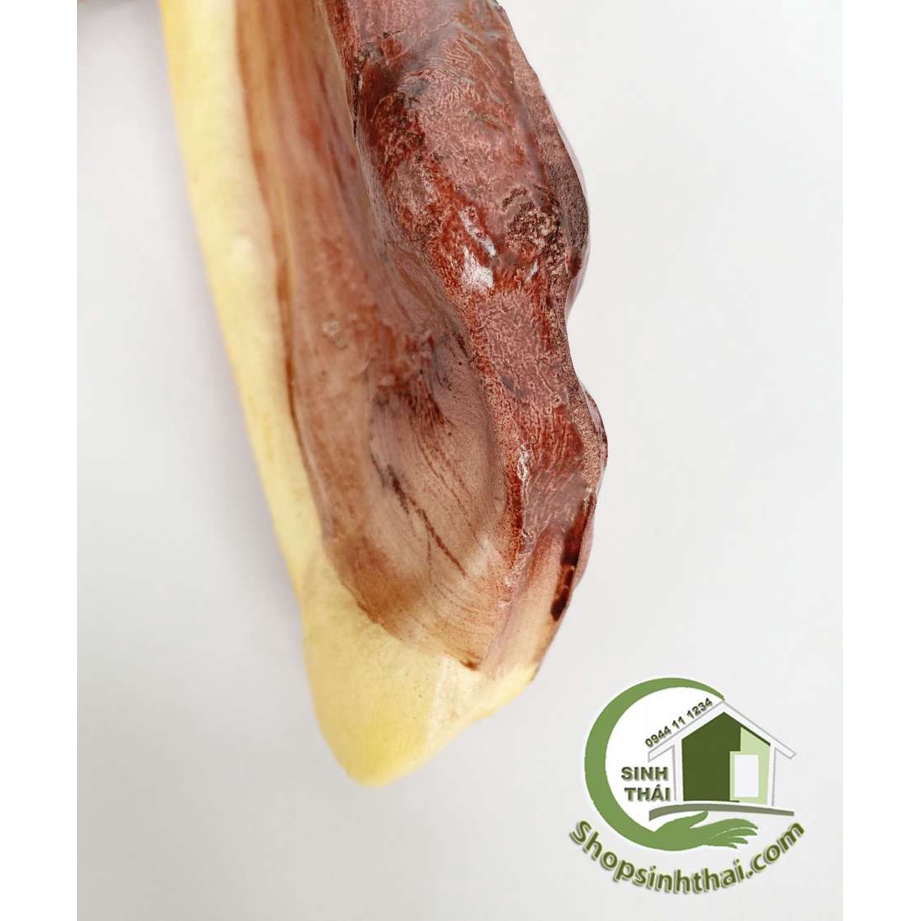 Miếng thịt heo, thịt ba chỉ giả cao cấp