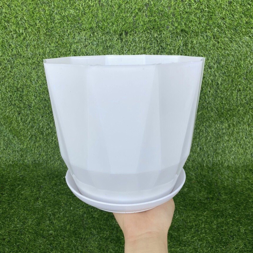 COMBO 5 Chậu nhựa trồng cây kim cương tròn kèm đĩa giả sứ để bàn cực xinh