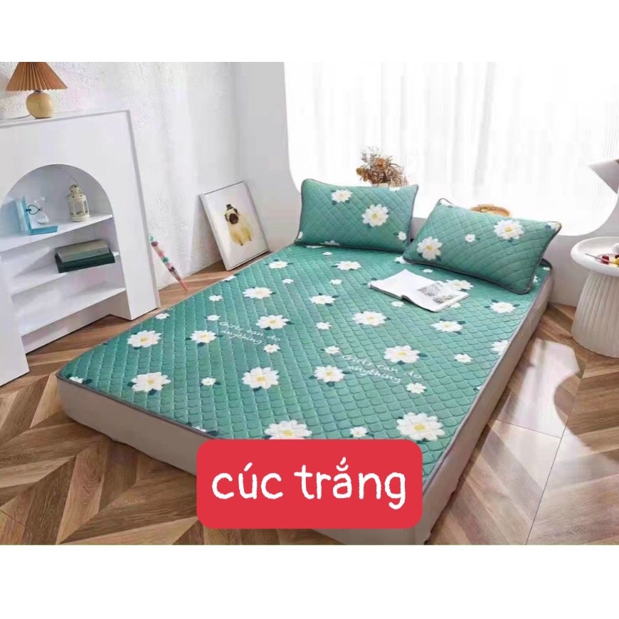 Chiếu Điều Hòa Cao Su Non 3D Làm Mát Dễ Ngủ Tặng Kèm 2 Vỏ Gối - Chiếu Cao Su Non Nhiều Mẫu