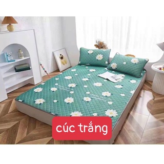 Chiếu điều hòa cao su non Decor 4.0
