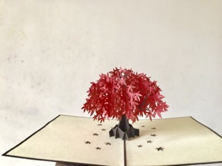 Thiệp 3d cây maple