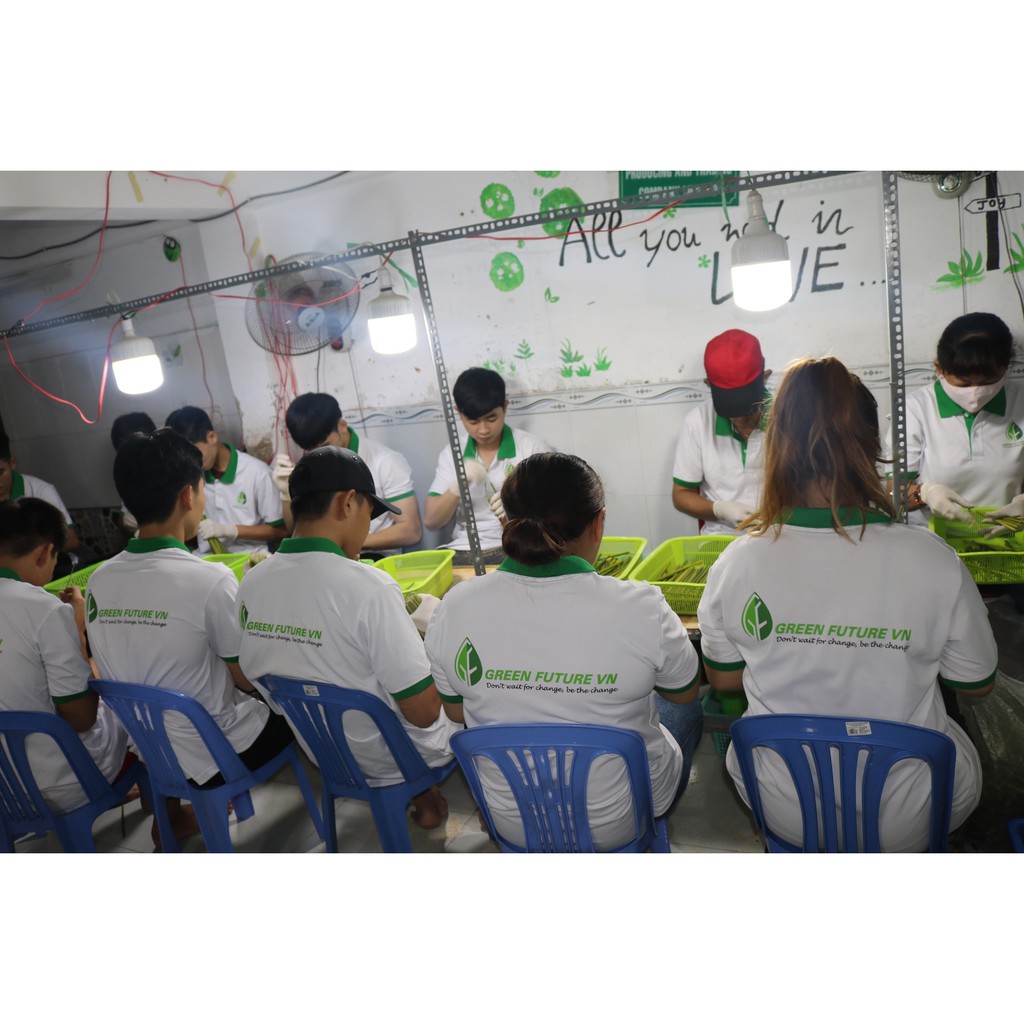 200 ỐNG HÚT CỎ BÀNG 20 CM-TẶNG 5 ỐNG-CTY GREEN FUTURE STRAW