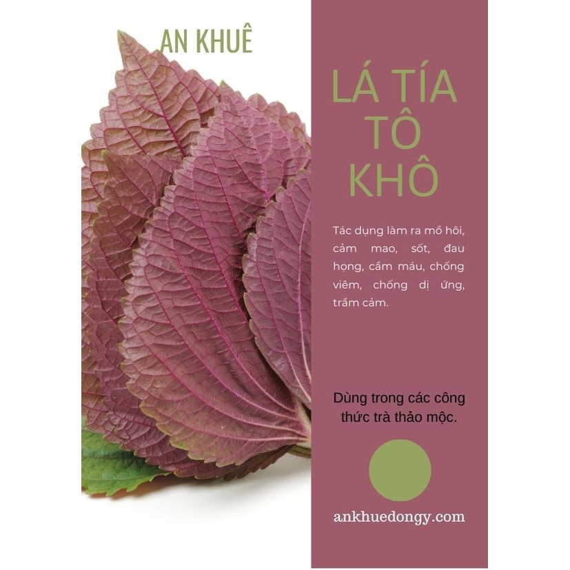 TÔ DIỆP (LÁ TÍA TÔ) - THẢO MỘC AN KHUÊ