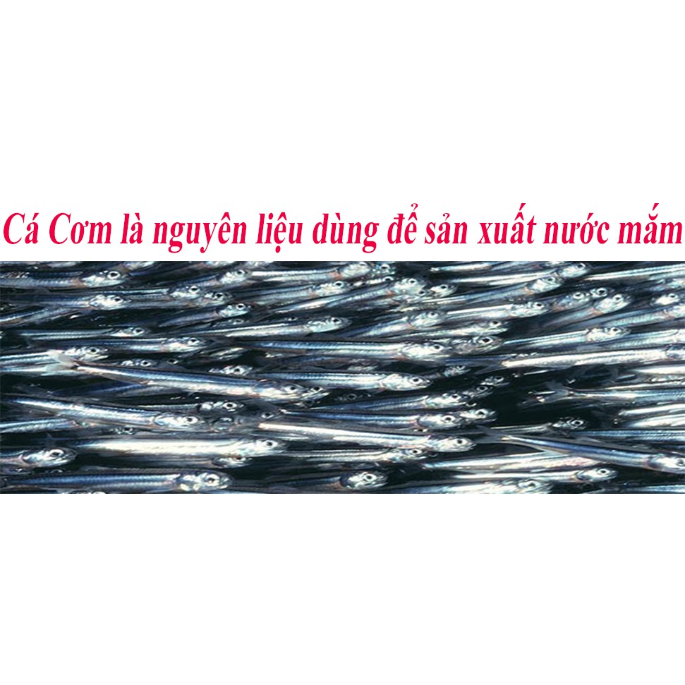 Hộp 2 chai Nước mắm Cá Cơm Cao Cấp 60 ĐỘ ĐẠM, 584 Nha Trang, Chai thủy tinh 200ml, Date luôn mới