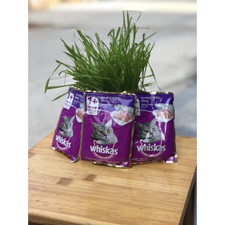 Gói pate mèo lớn whiskas mùi vị thơm ngon date mới